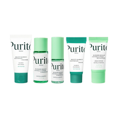 Purito Seoul Best Kit