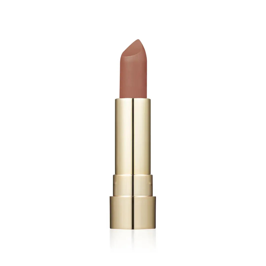 TopFace Prohd Rich Matte Lipstick 010.