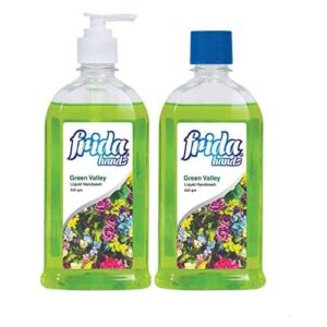 Frida Hand Soup Economy 2x1 Green Valley 520 gm
